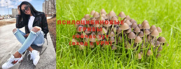 бутират Нефтекумск