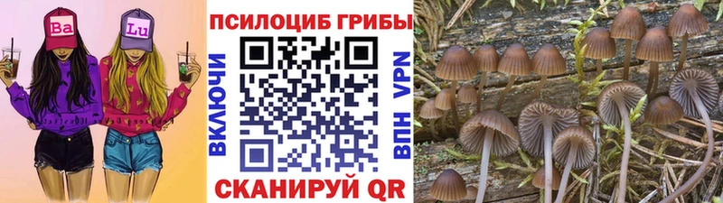 Галлюциногенные грибы GOLDEN TEACHER  Лысково 